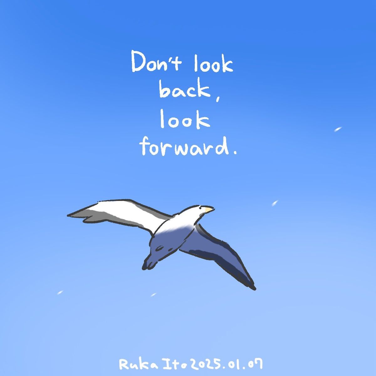 Don’t look back, look forward.