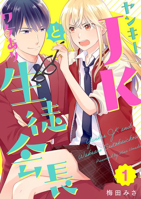 ヤンキーJKとワケあり生徒会長