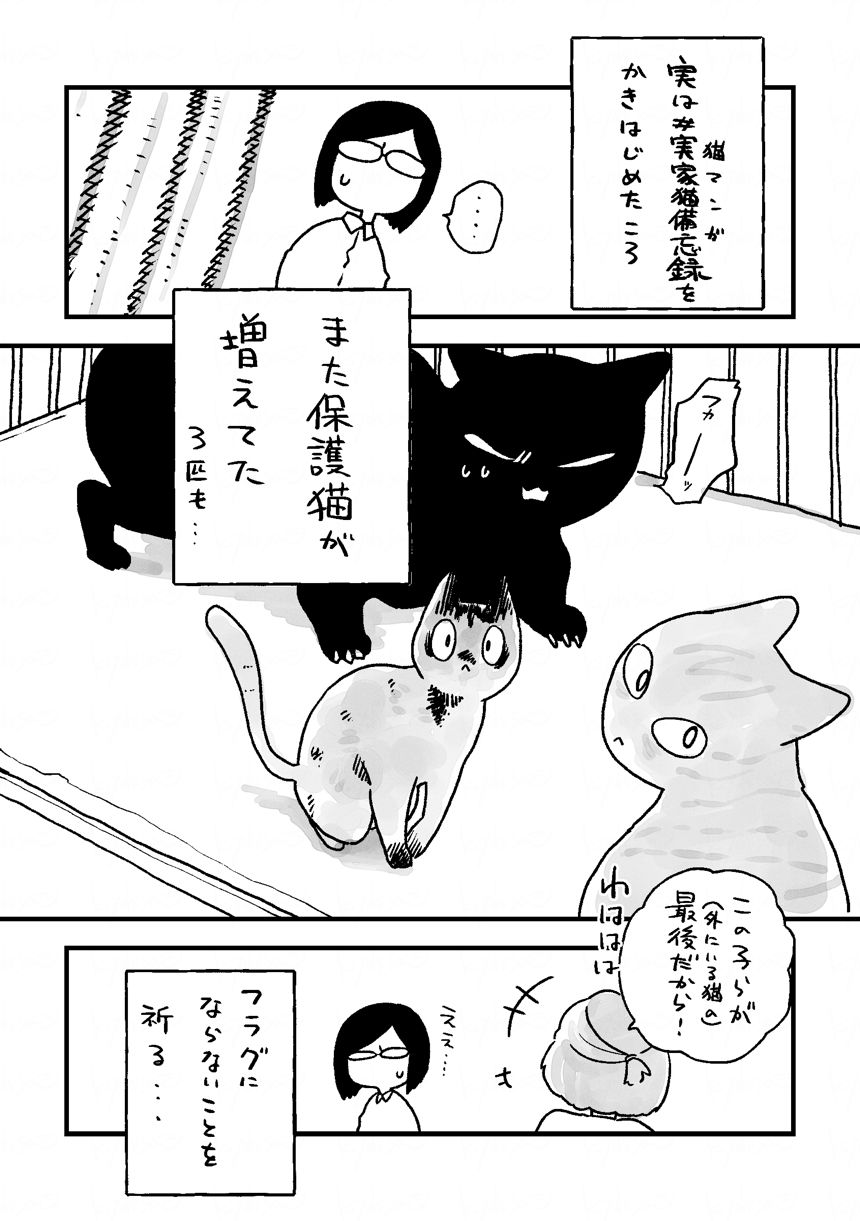 猫日記1（4ページ目）