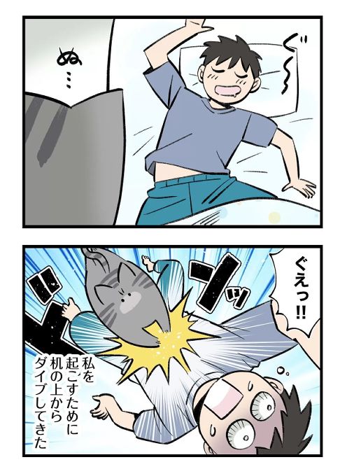 猫との暮らし事件簿