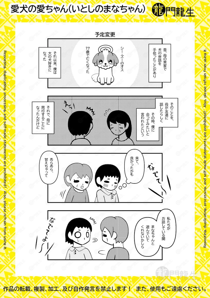 愛犬(いとし)の愛(まな)ちゃん（3ページ目）