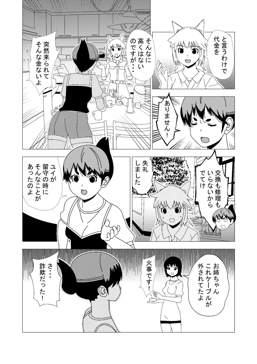 姉、詐欺にあいかける（2ページ目）