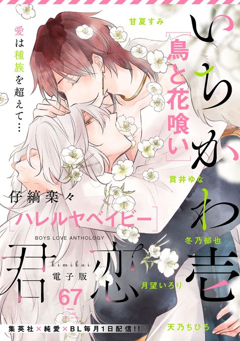 鳥と花喰い2
