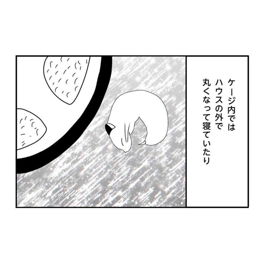 6話（2ページ目）