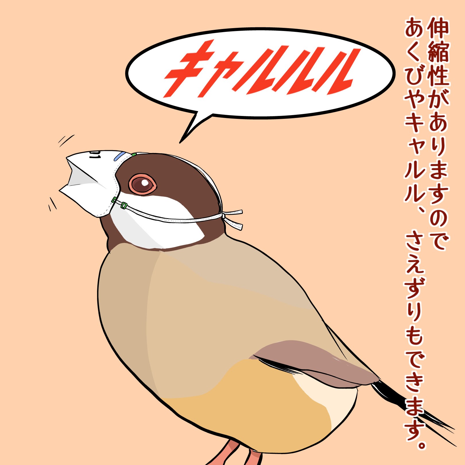 文鳥用　N95マスク