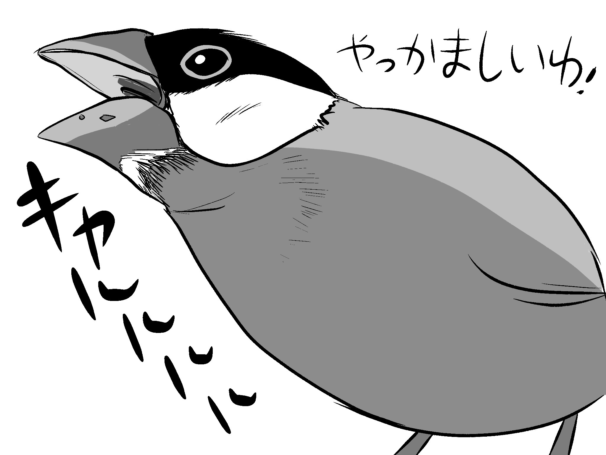 ミカぢるのマンガ マンガノ