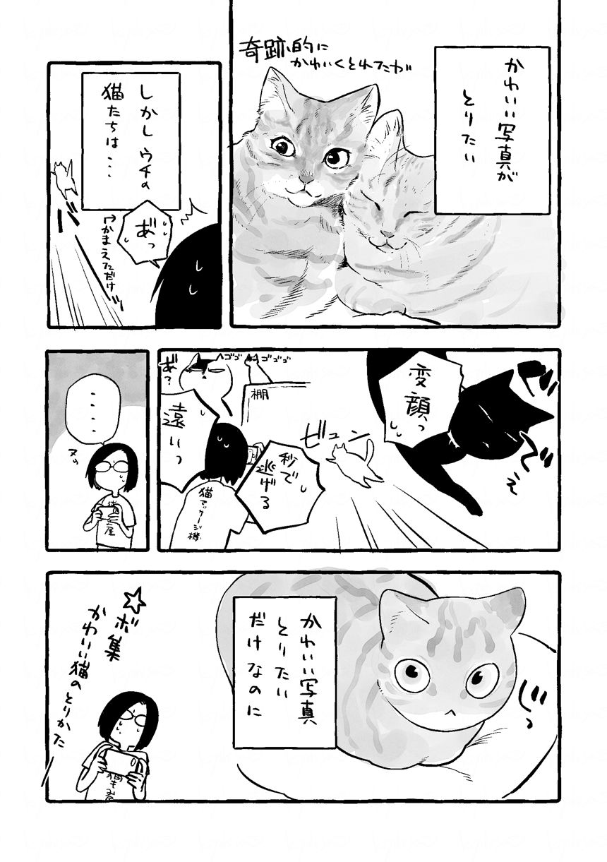 猫日記1（2ページ目）