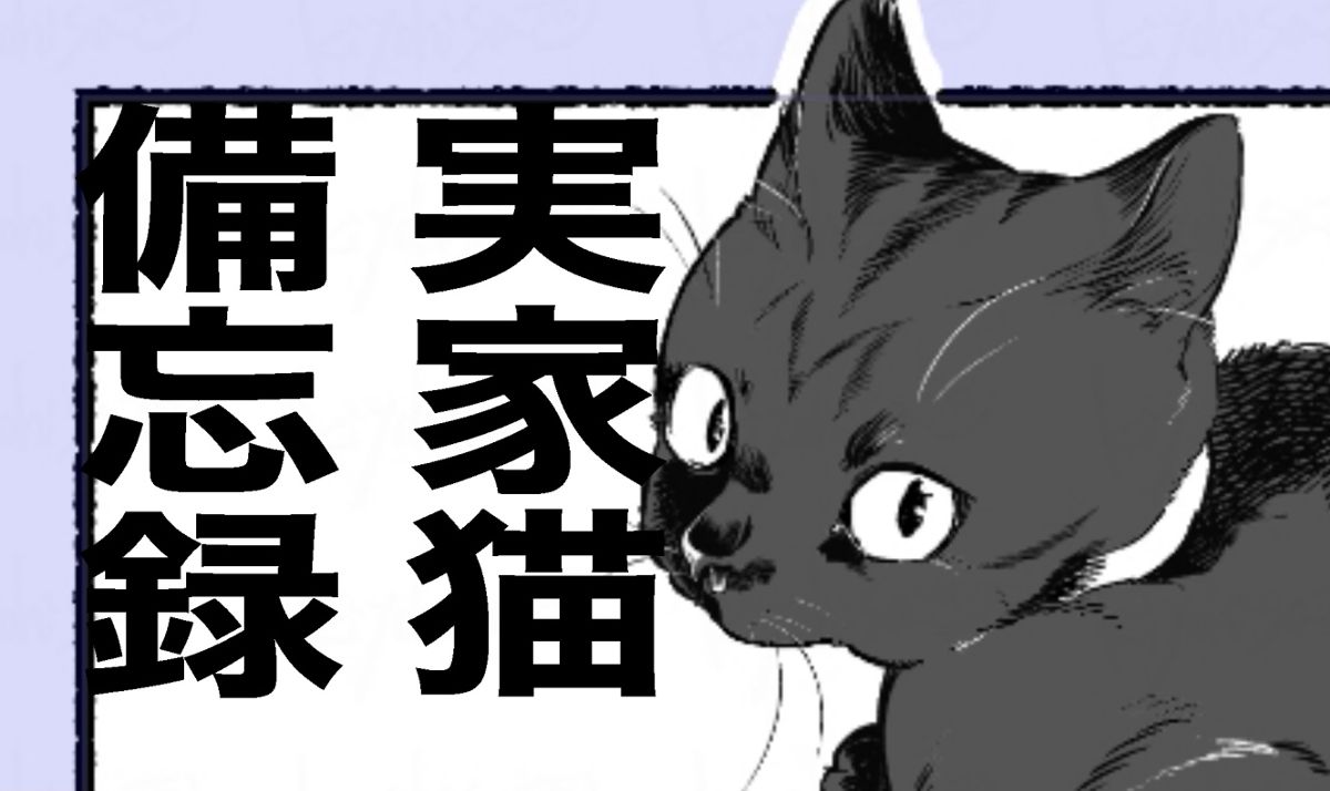 実家猫備忘録