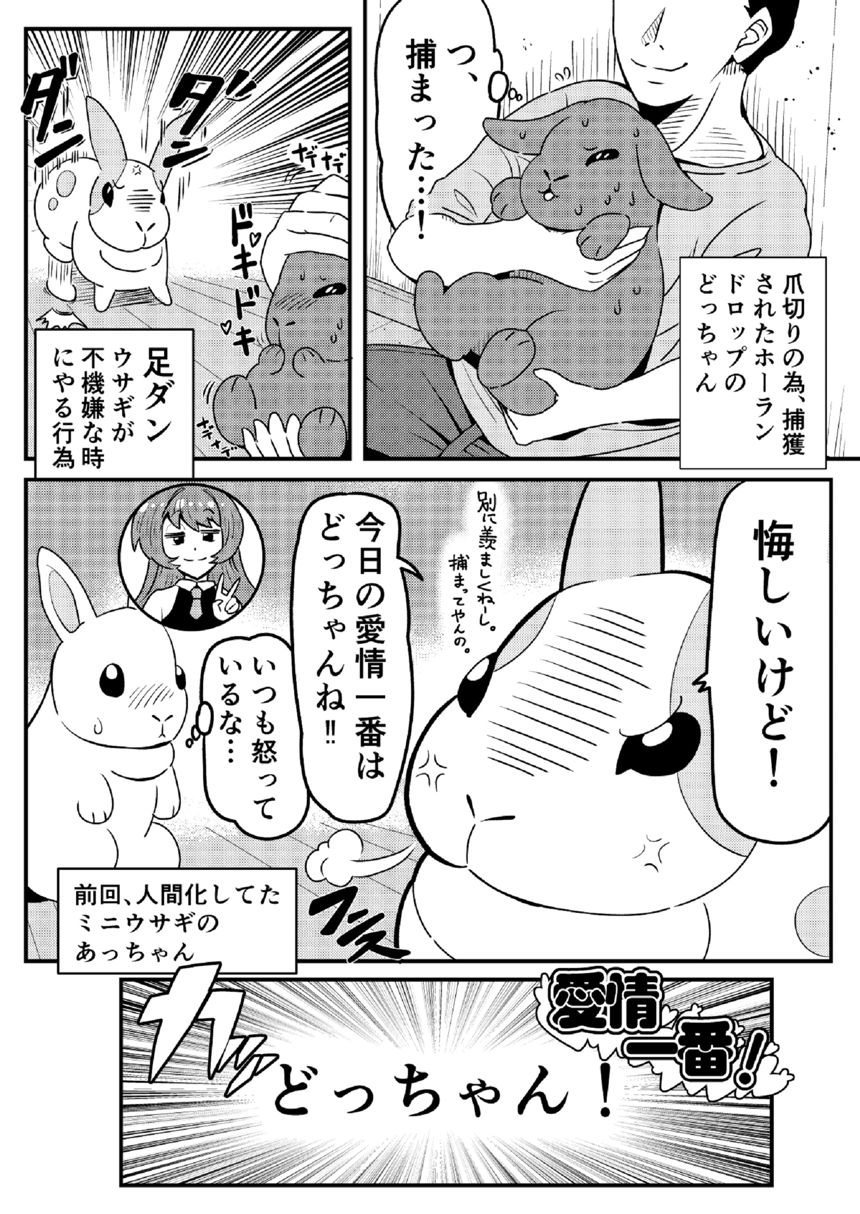 抱っこは割と怖いラビット（1ページ目）