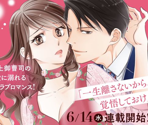 捨てられた花嫁はエリート御曹司の執愛に囚われる