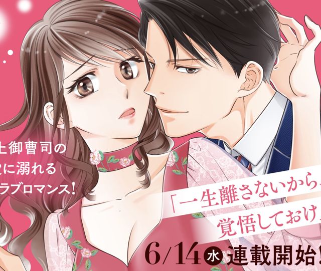 捨てられた花嫁はエリート御曹司の執愛に囚われる