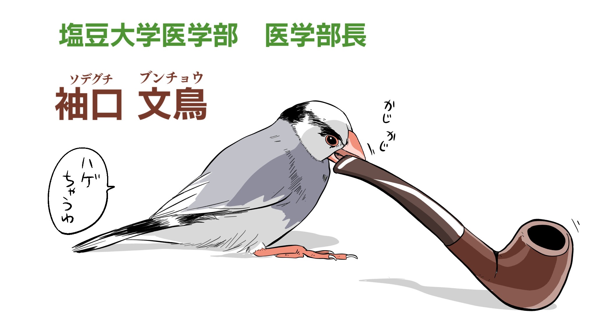 文鳥イラストなど2 ミカぢる キャルルcity マンガノ