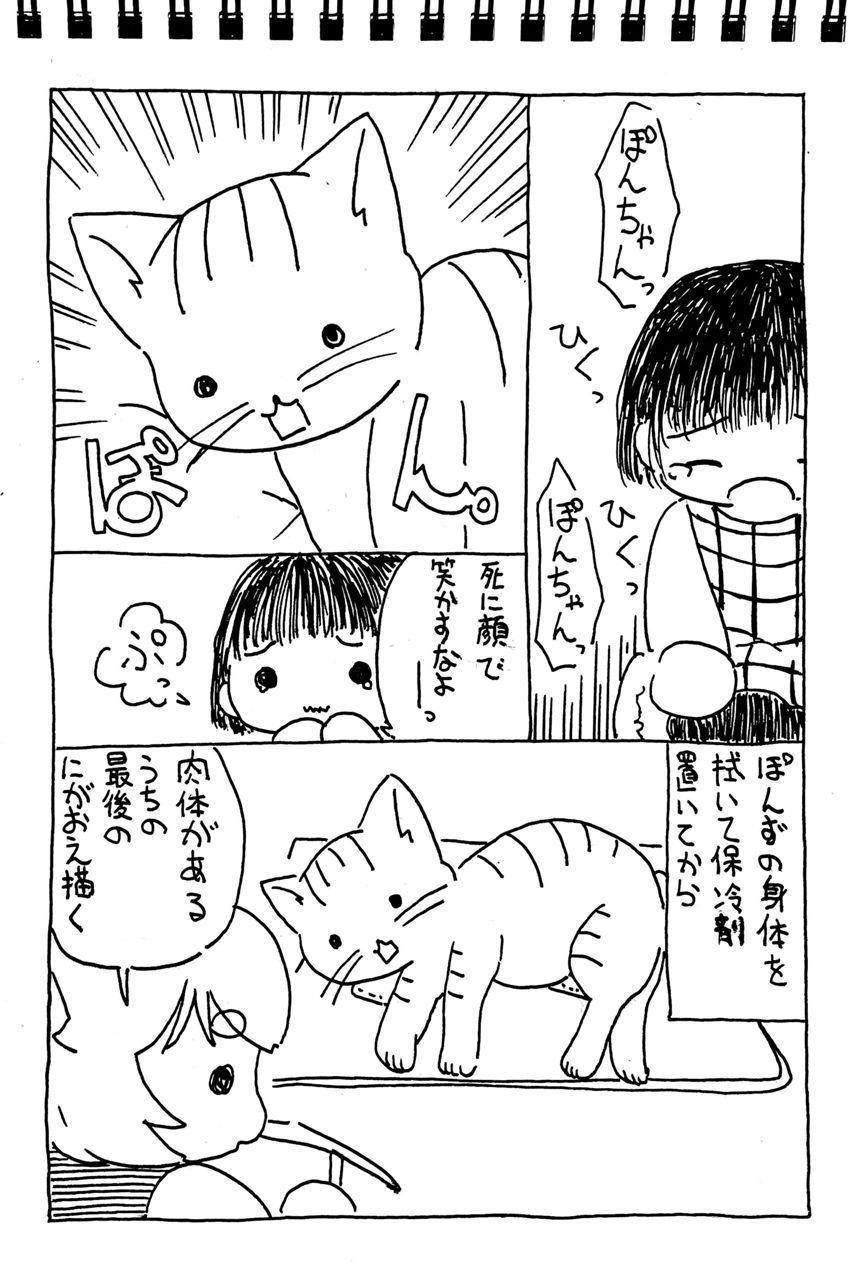 ねこを看取った日（3ページ目）