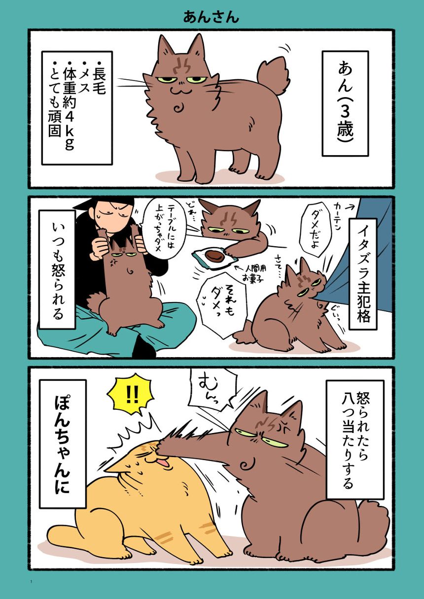 猫のあんとぽん（2ページ目）