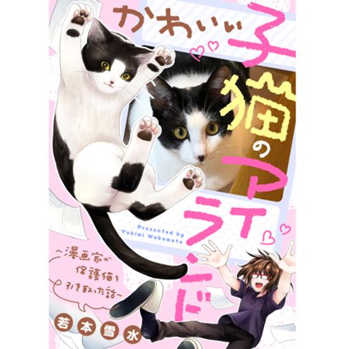 かわいい子猫のアイランド　～漫画家が保護猫を引き取った話～