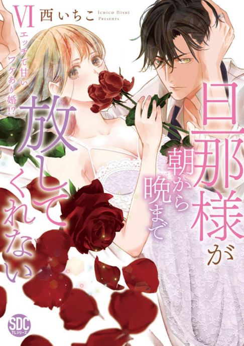 旦那様が朝から晩まで放してくれないⅥ ～エッチで甘いワケあり婚!?～　