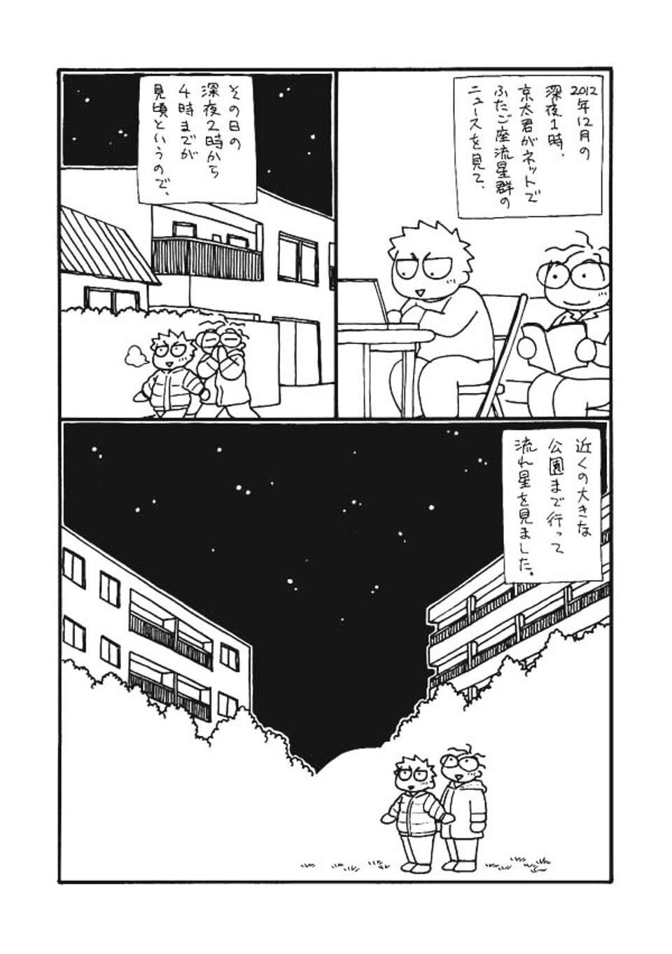 あの日のふたご座流星群