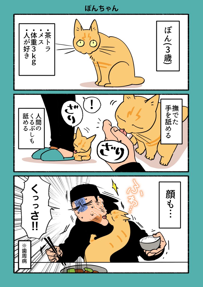 猫のあんとぽん（1ページ目）