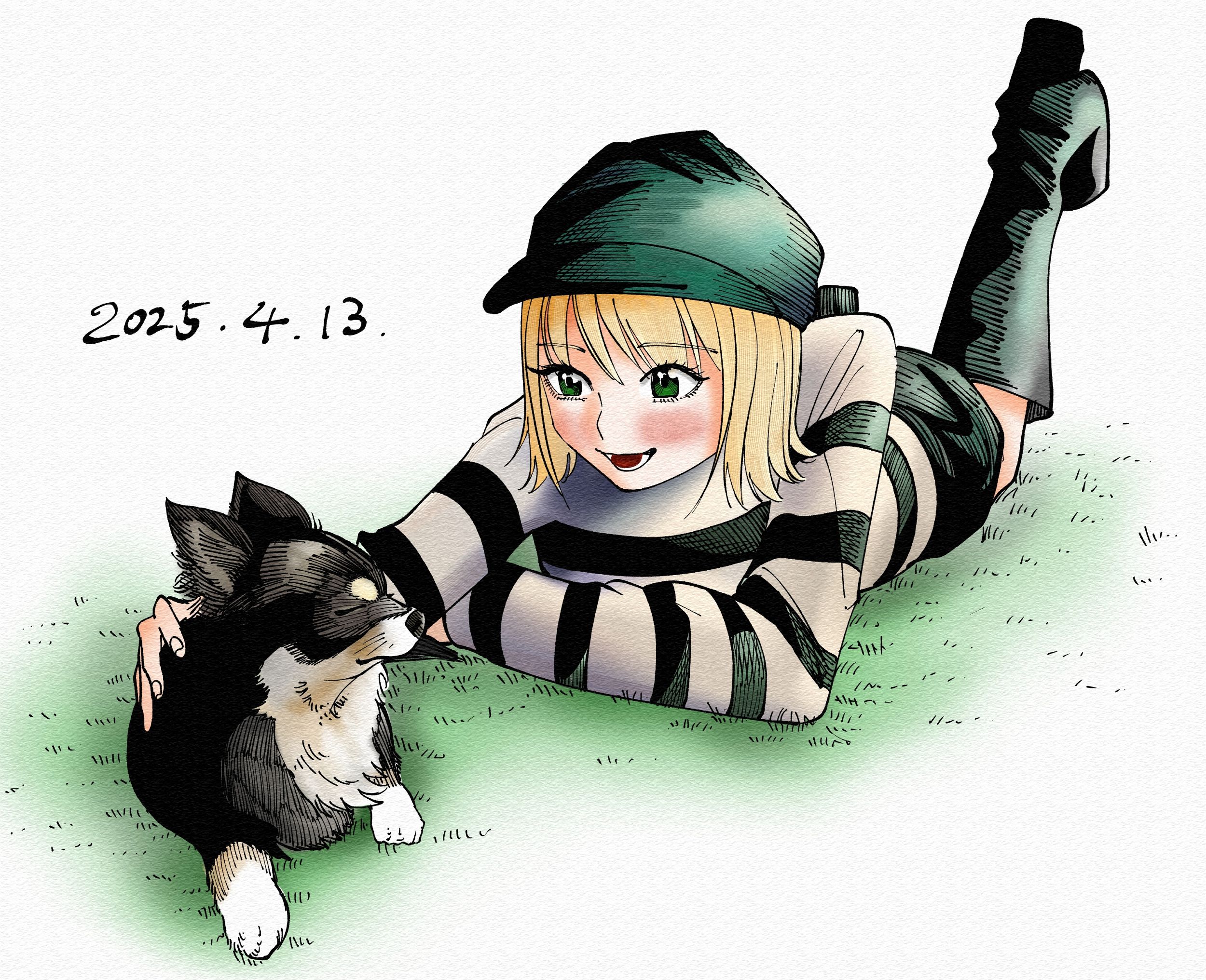 チワワ