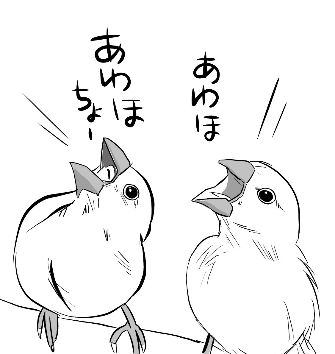 文鳥イラスト ラクガキなど ミカぢる キャルルcity マンガノ