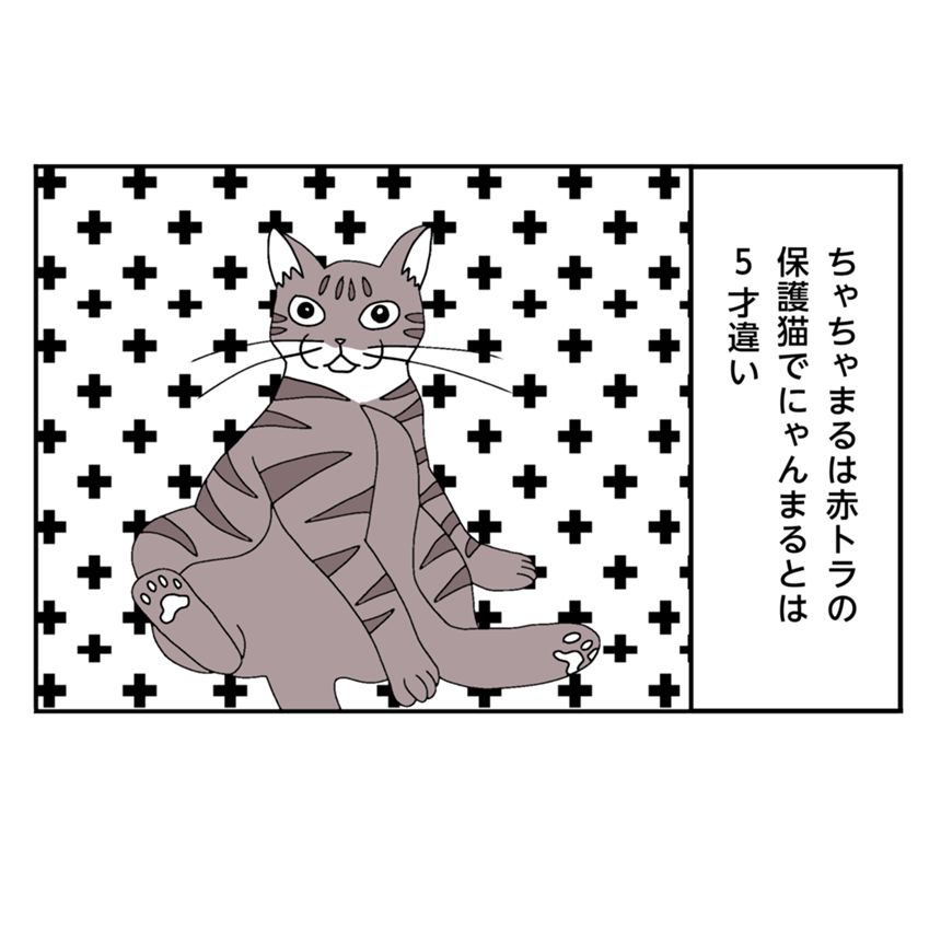 9話（2ページ目）