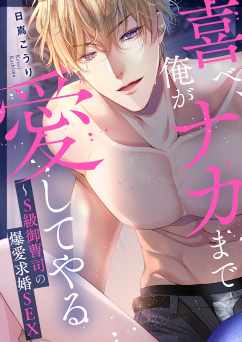 喜べ、俺がナカまで愛してやる～S級御曹司の爆愛求婚SEX