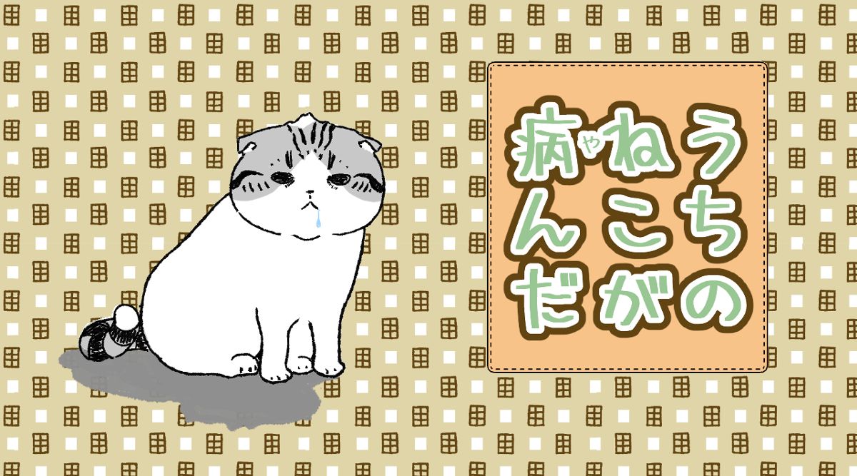 うちのねこが病んだ