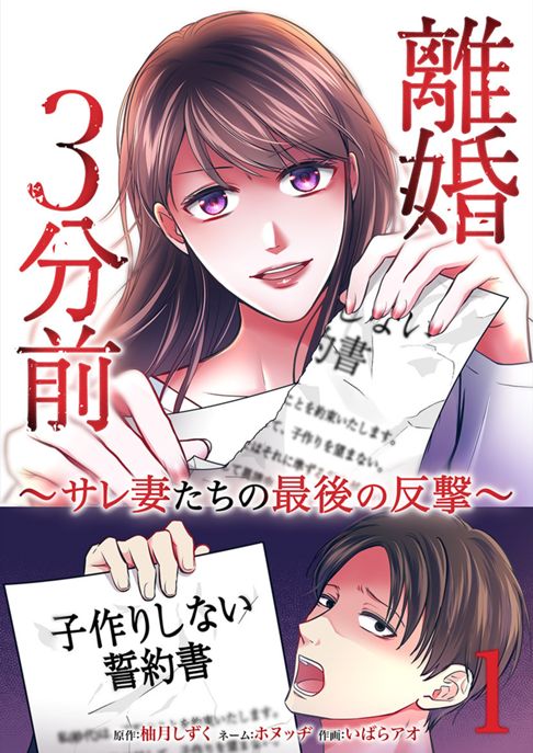 離婚3分前 ～サレ妻たちの最後の反撃～