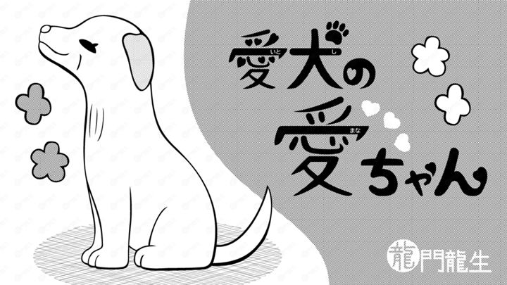 【短編】愛犬(いとし)の愛(まな)ちゃん