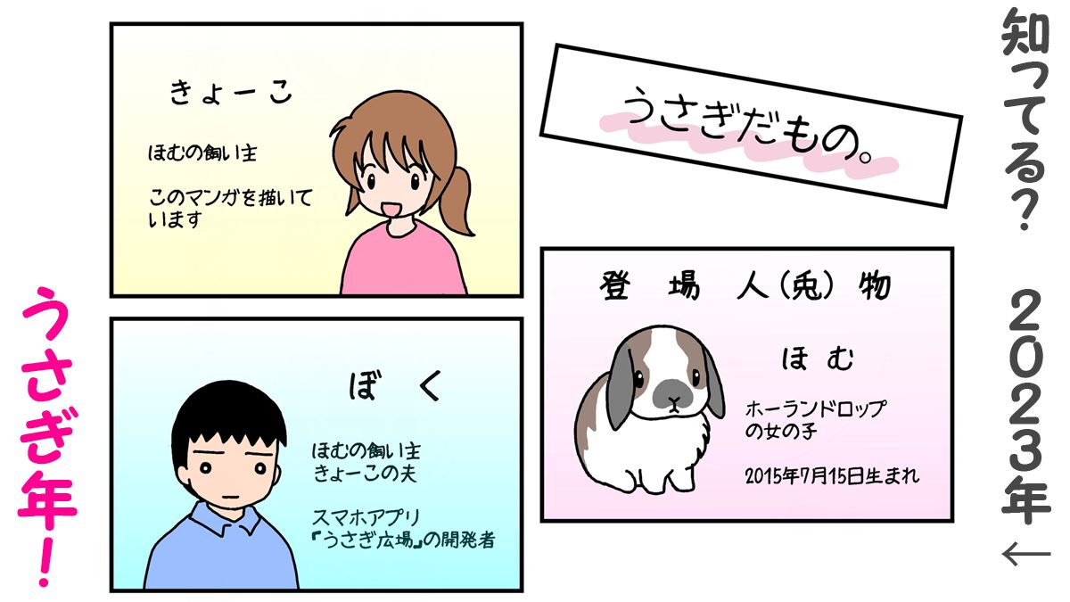 うさぎだもの。〜ゆるうさライフ〜