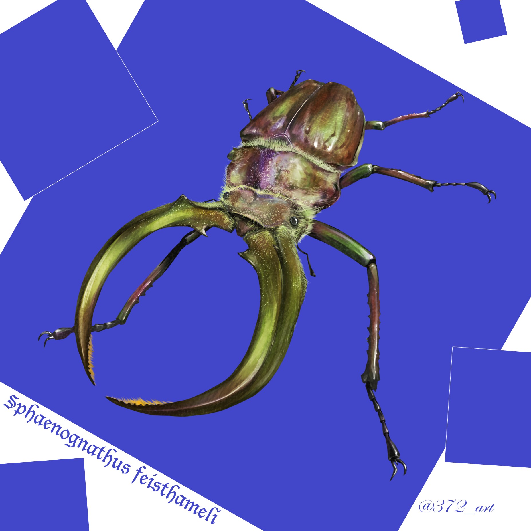カブトムシ クワガタムシのイラスト 彩natsu マンガノ