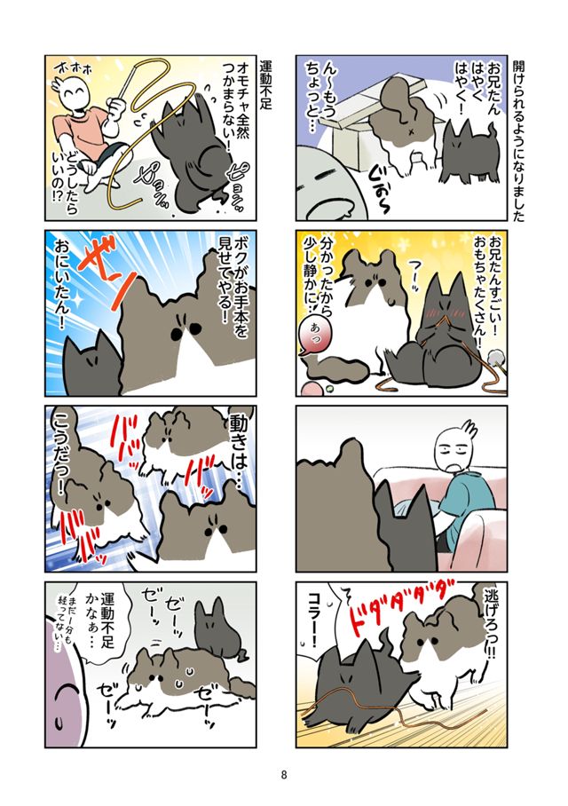 この家の主は僕