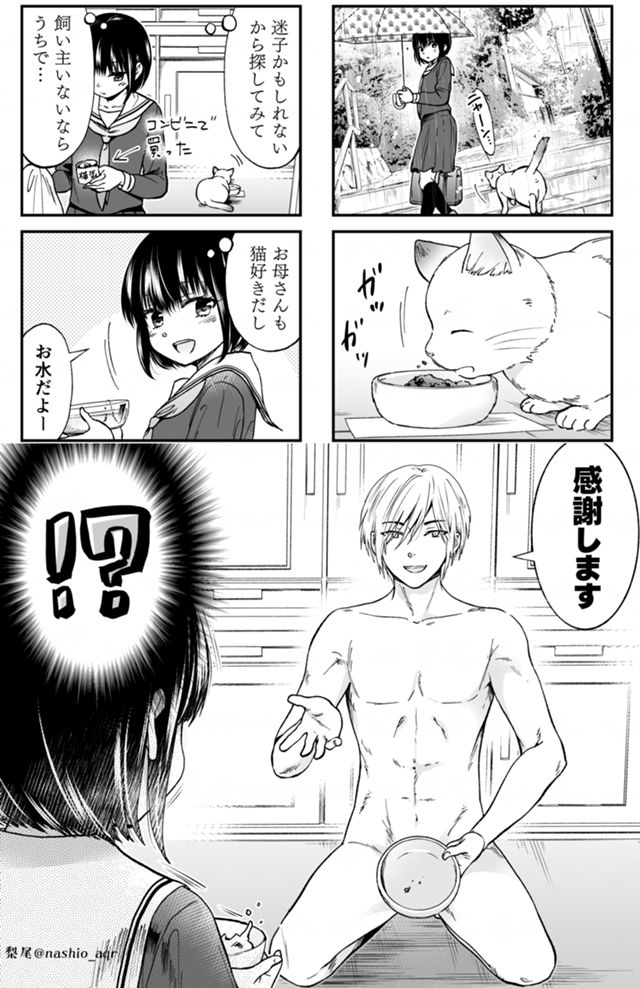 拾った猫が普通じゃなかった漫画