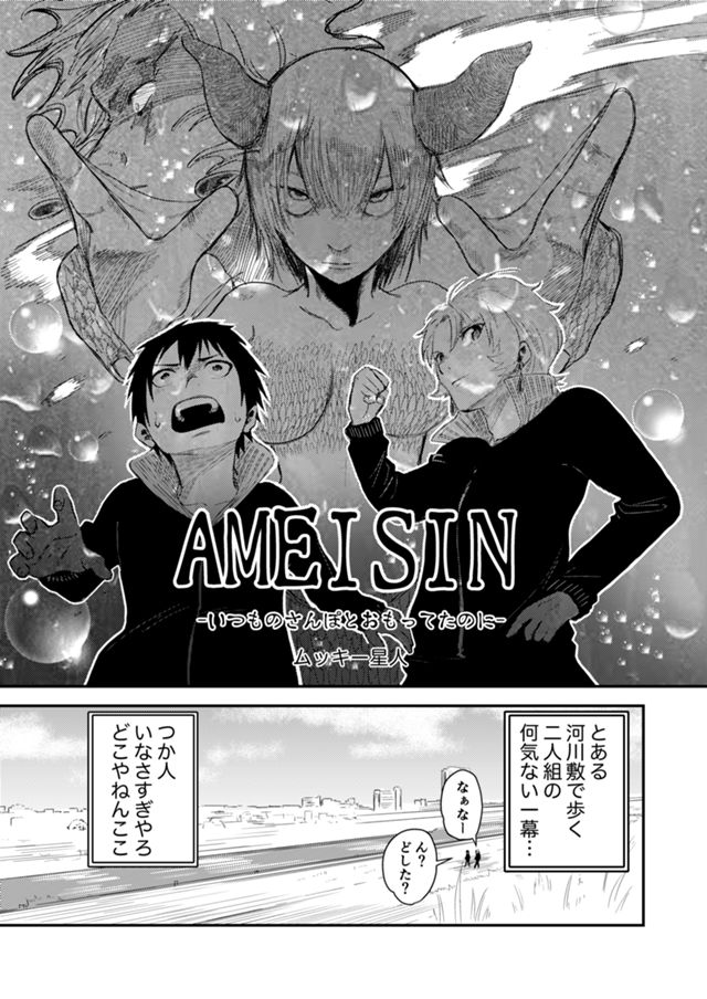 AMEISIN