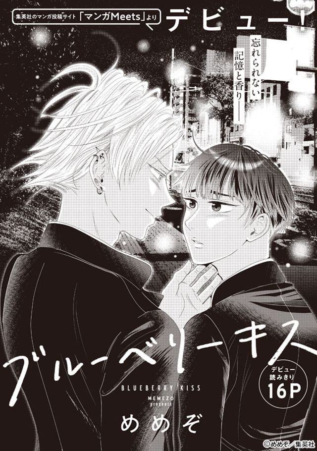ブルーベリーキス
