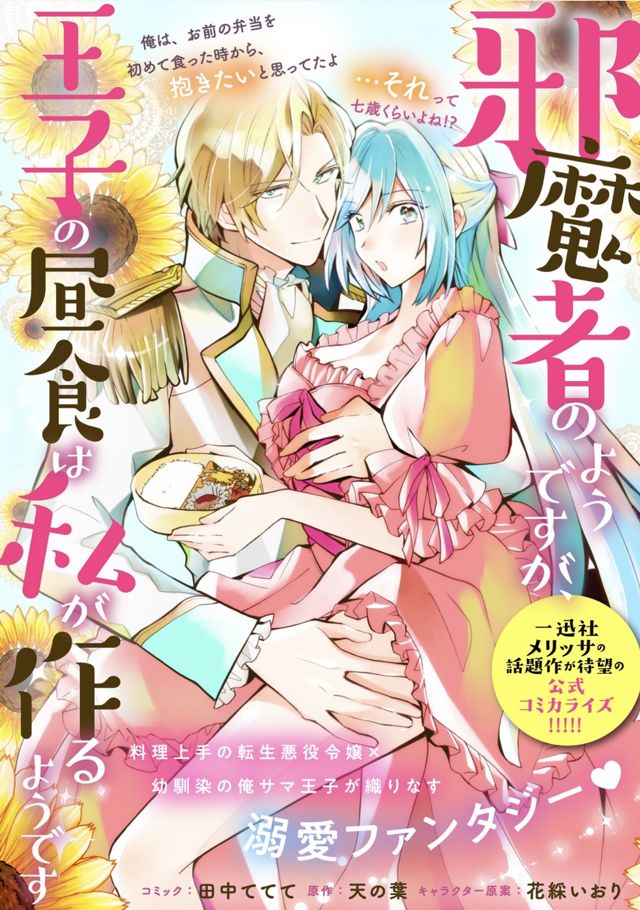 邪魔者のようですが、王子の昼食は私が作るようです