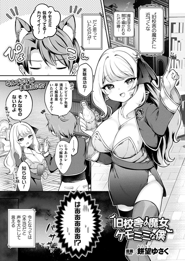 旧校舎の魔女とネコミミな僕