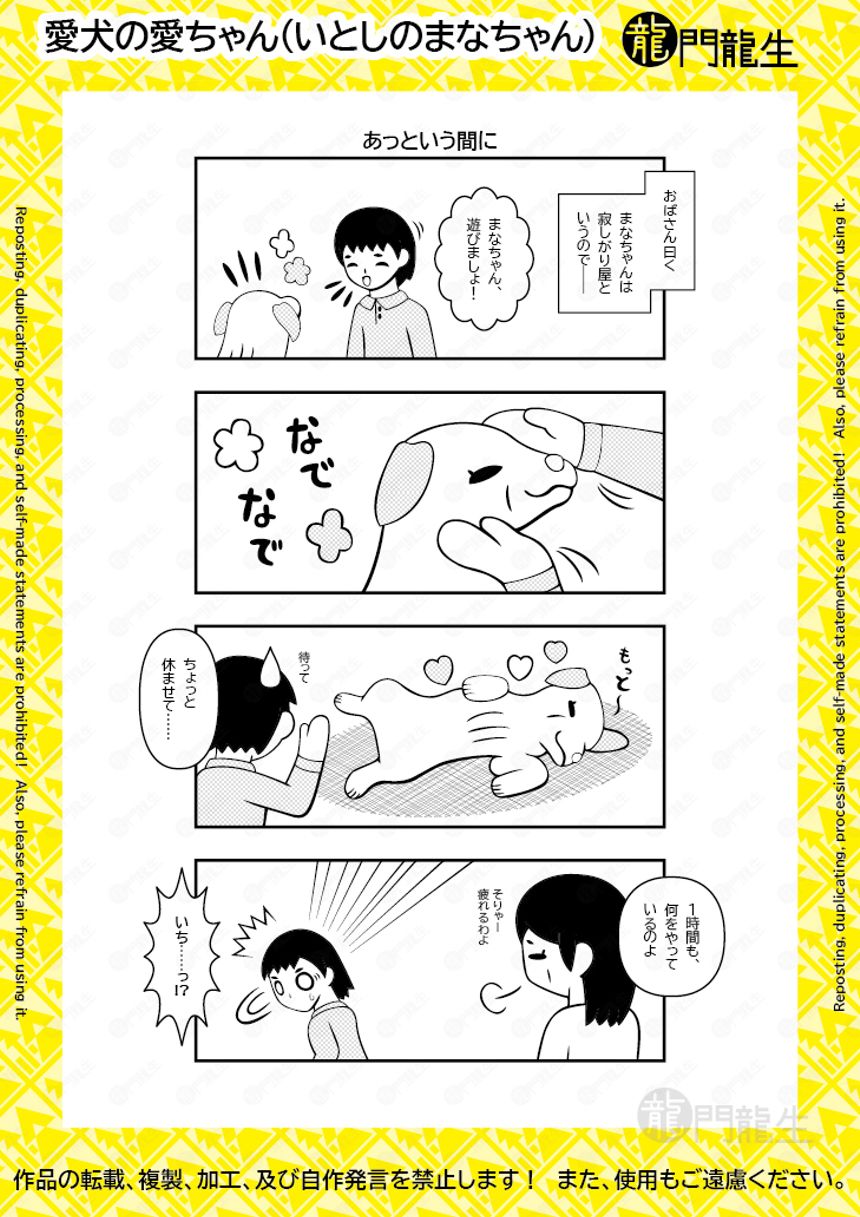 愛犬(いとし)の愛(まな)ちゃん（4ページ目）