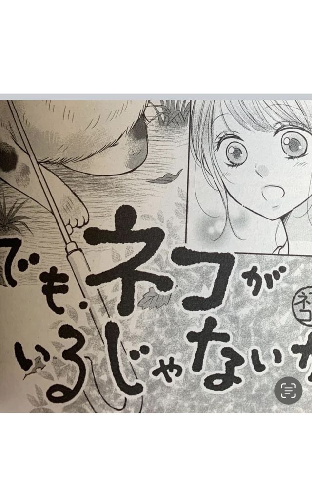 でもネコがいるじゃないか