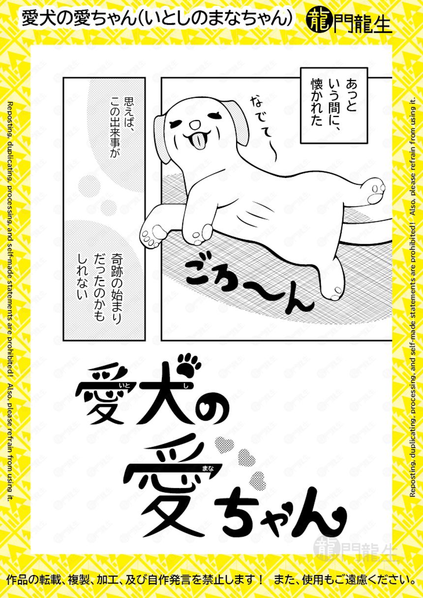 愛犬(いとし)の愛(まな)ちゃん（2ページ目）