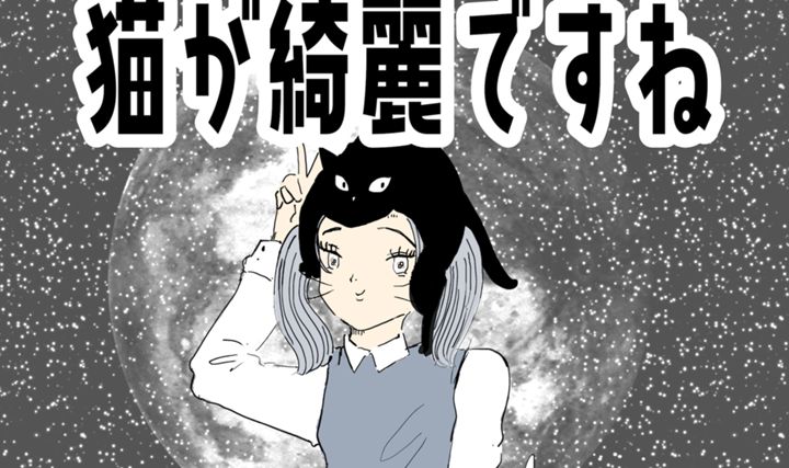 猫が綺麗ですね