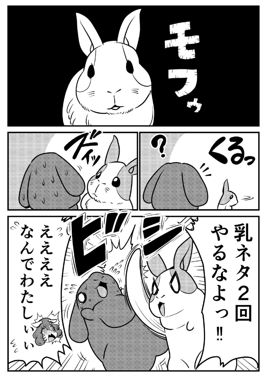 結構、高く飛ぶラビット（3ページ目）