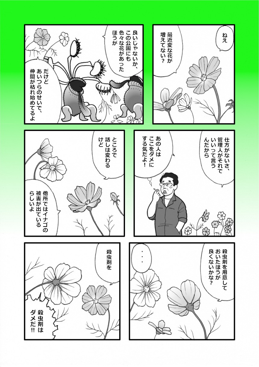 秋桜（1ページ目）