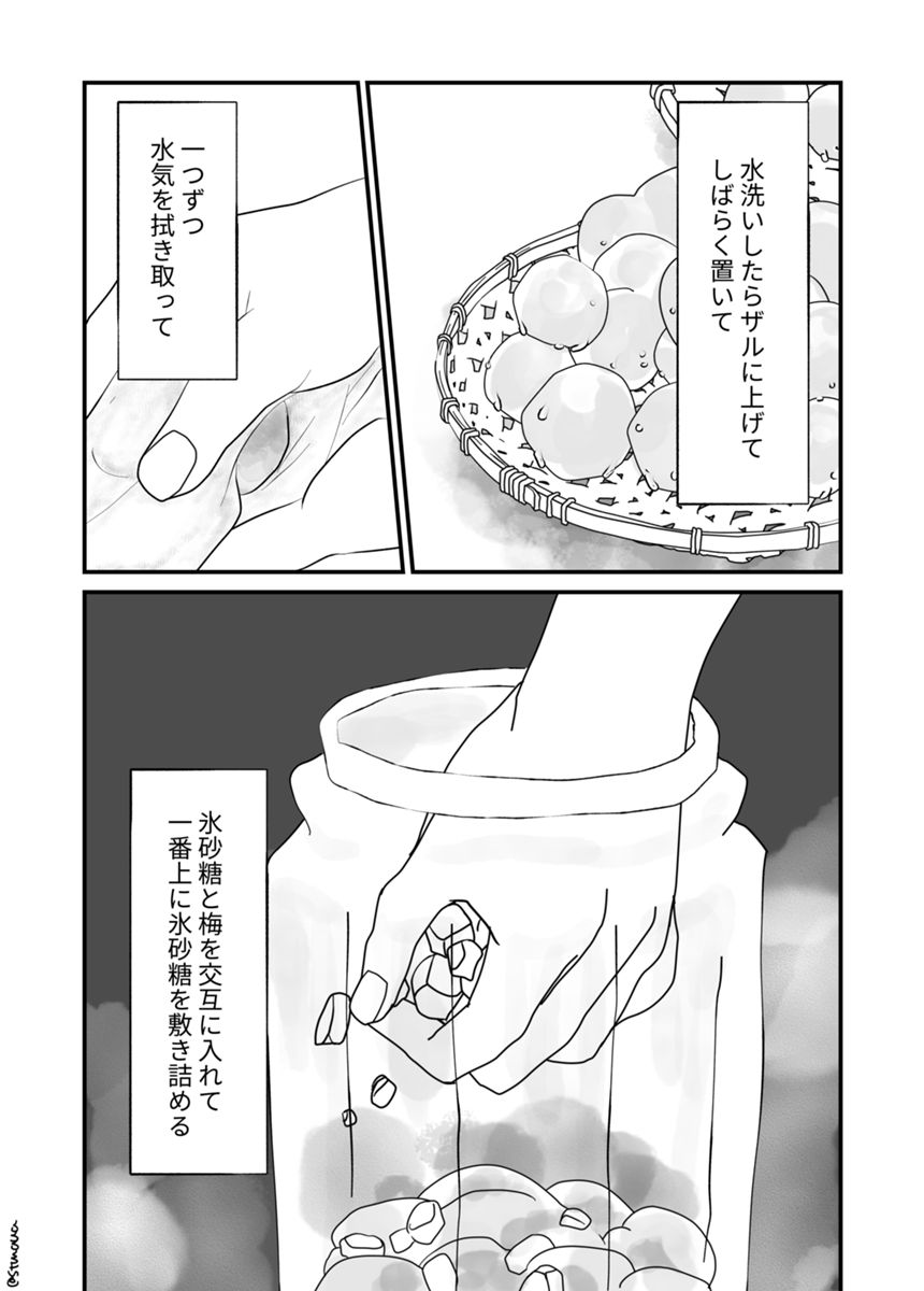 梅シロップを作る話（2ページ目）