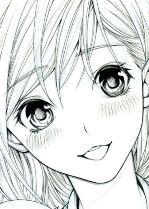 秘密のプロペラ