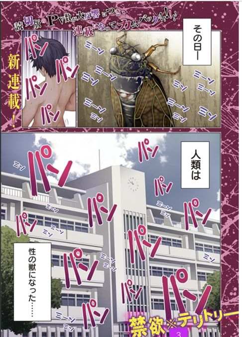 禁欲※テリトリー