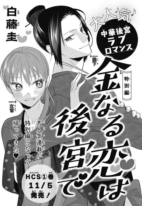 金なる恋は後宮で　特別編【単行本未掲載】