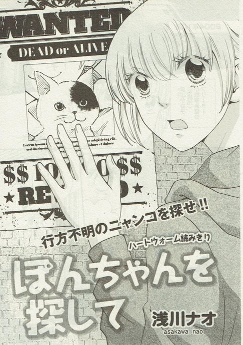 『ぽんちゃんを探して』 