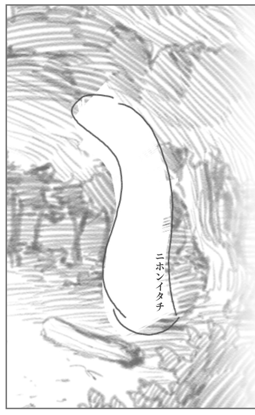 1話 出会い(前編)（2ページ目）