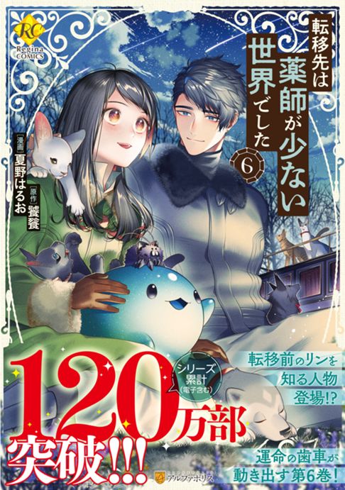 転移先は薬師が少ない世界でした6